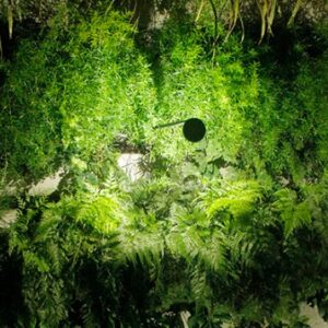 Arandela V Garden - Jardim Vertical